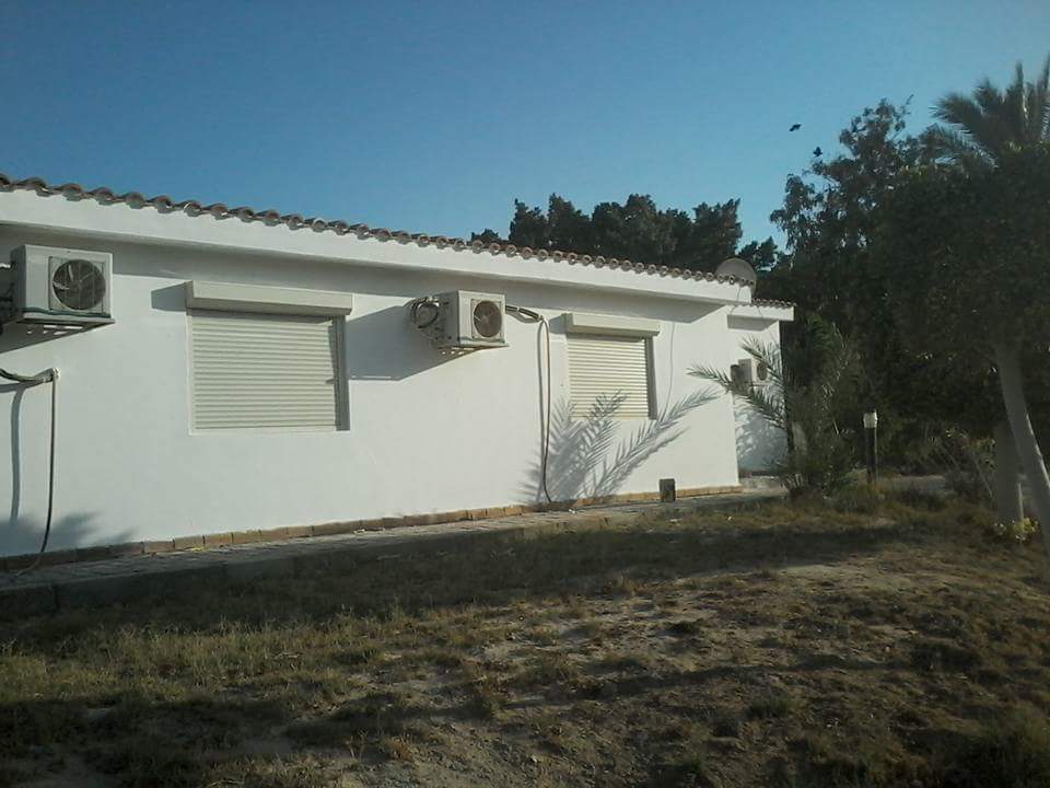 Petroleum<br> and Gas